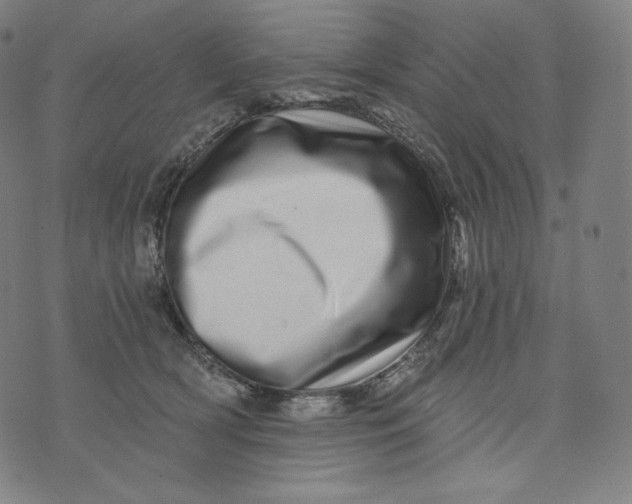 X0000074220418200609151626
