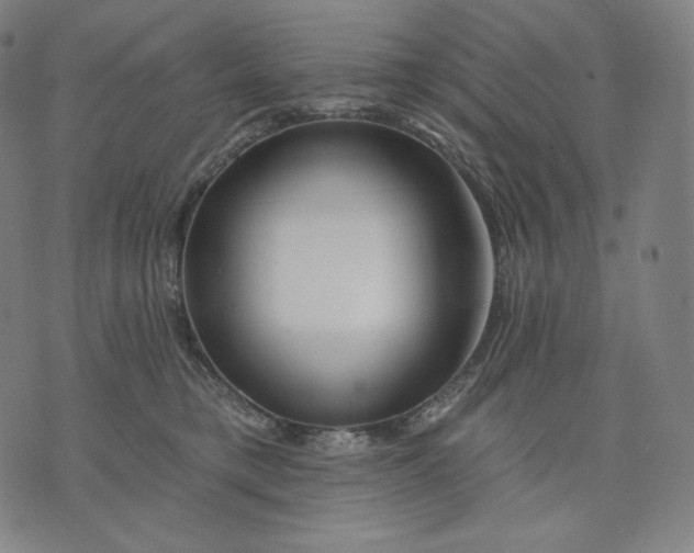 X0000074220421200609151626
