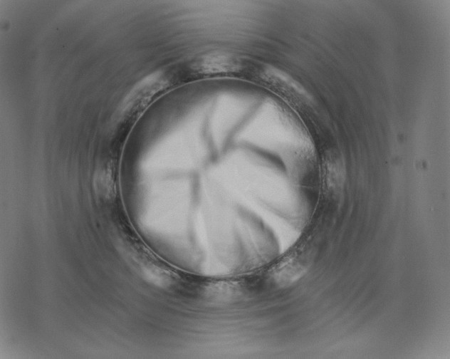 X0000074220422200609151626