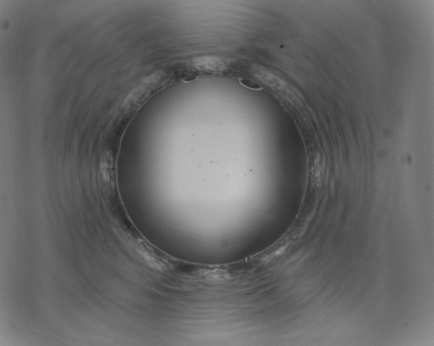 X0000074220424200609151626