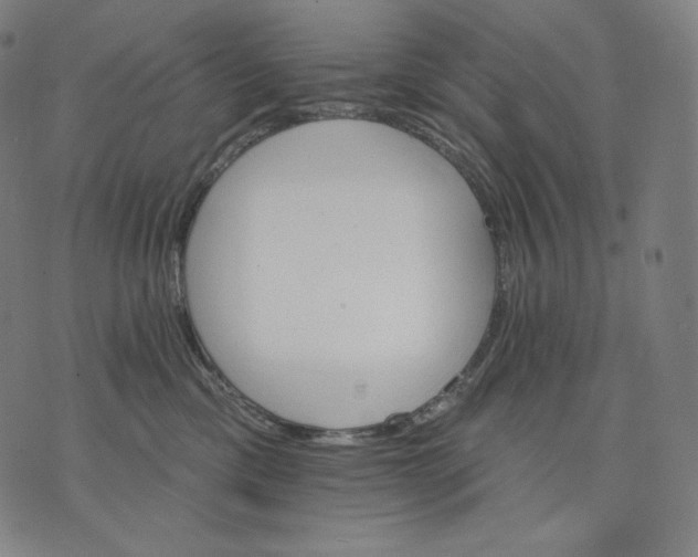 X0000074220425200609151626