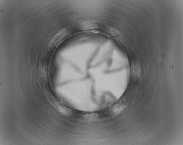 X0000074220426200609151626