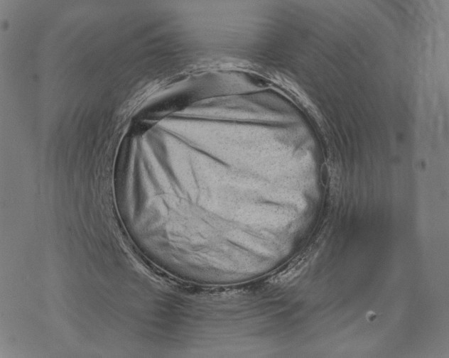 X0000074220433200609151625