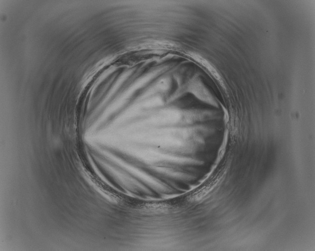 X0000074220437200609151625
