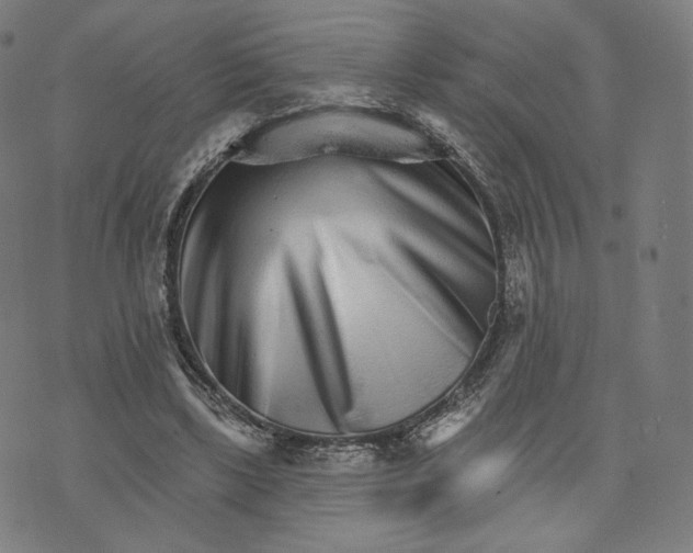 X0000074220443200609151625