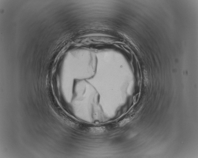 X0000074220451200609151625