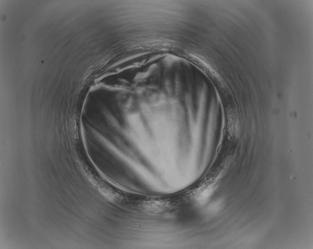 X0000074220453200609151625