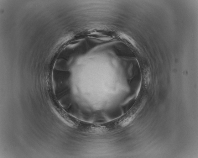 X0000074220455200609151625