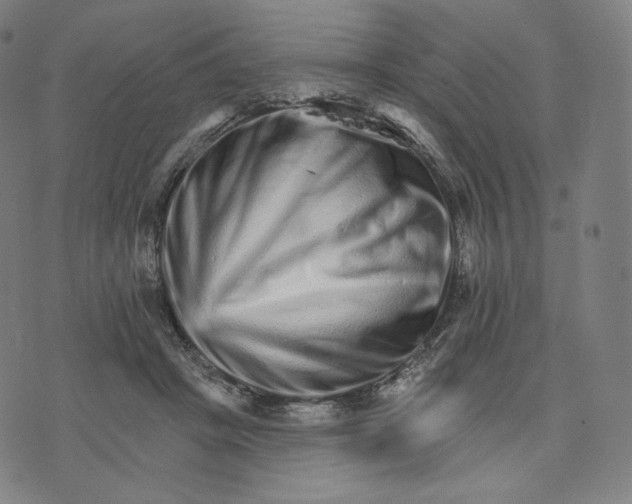 X0000074220457200609151625