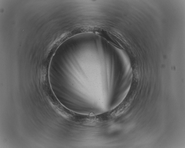 X0000074220458200609151625