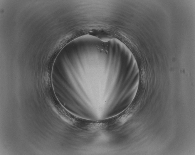 X0000074220459200609151625