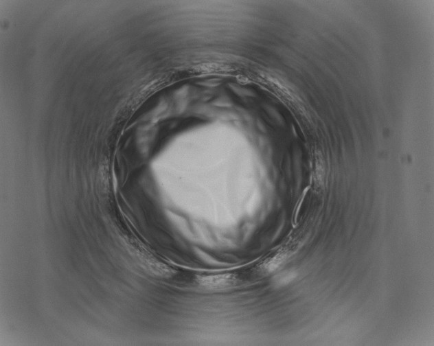 X0000074220461200609151625