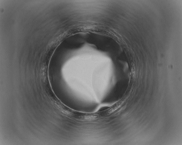 X0000074220462200609151625