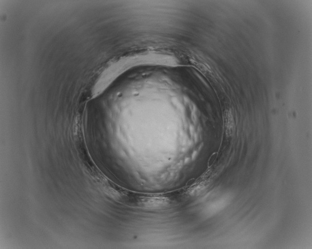 X0000074220463200609151625