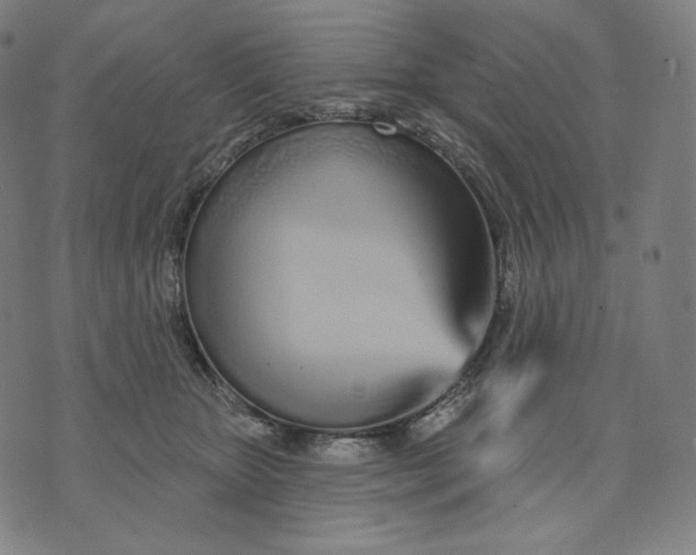 X0000074220467200609151626