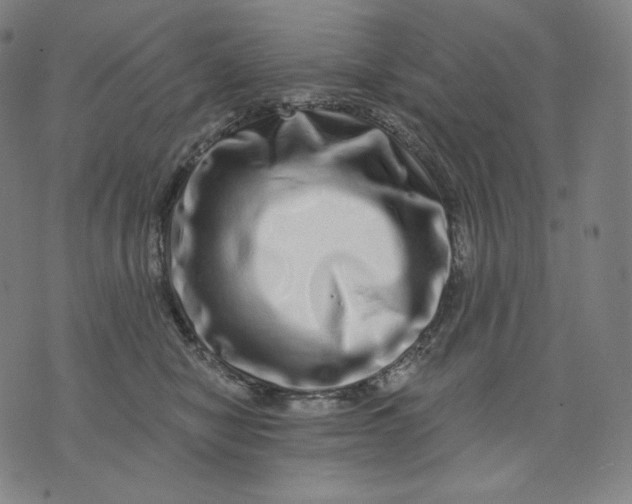 X0000074220470200609151626