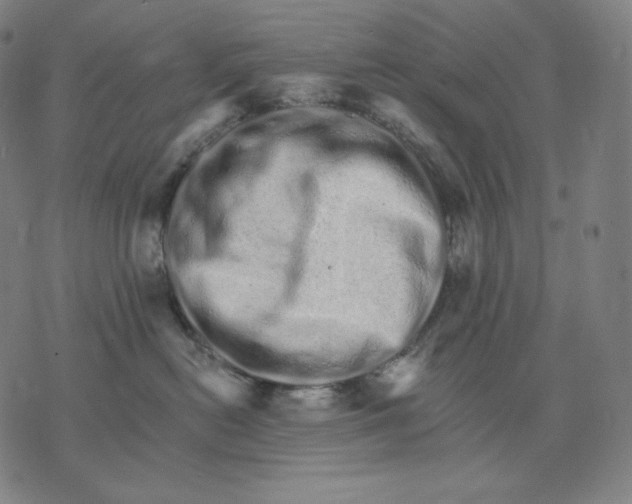 X0000074220478200609151626