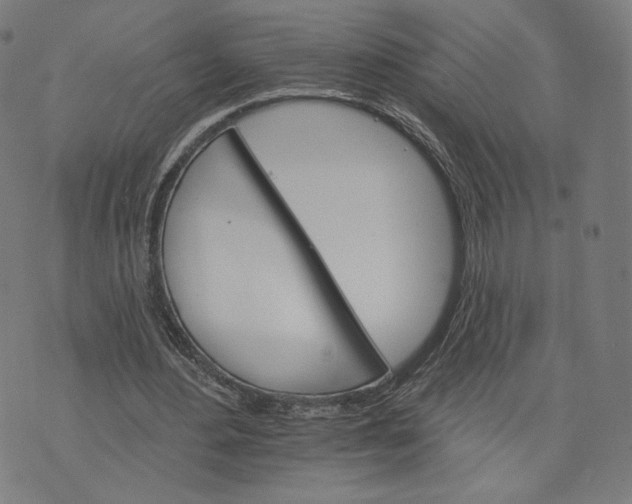 X0000074220484200609151625
