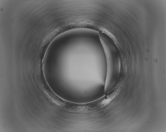 X0000074220493200609151625