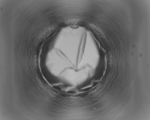 X0000074220498200609151625