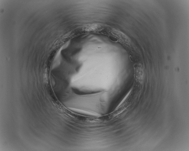 X0000074220510200609151624