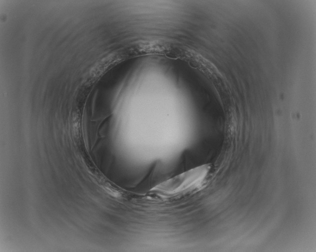 X0000074220513200609151624