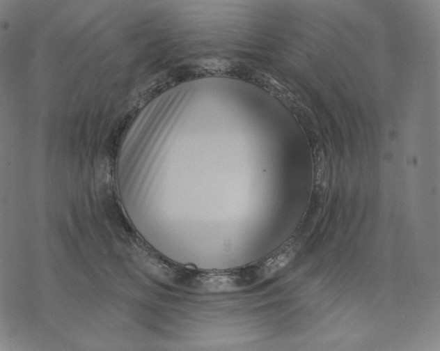 X0000074220518200609151624