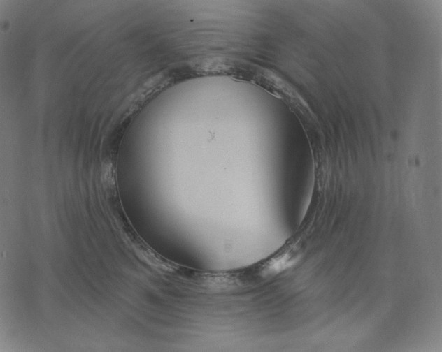 X0000074220521200609151624