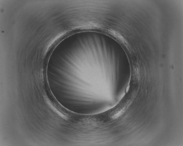 X0000074220535200609151624