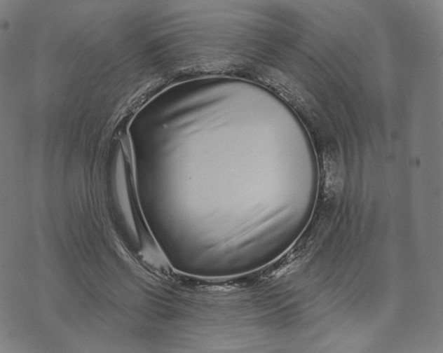 X0000074220542200609151624