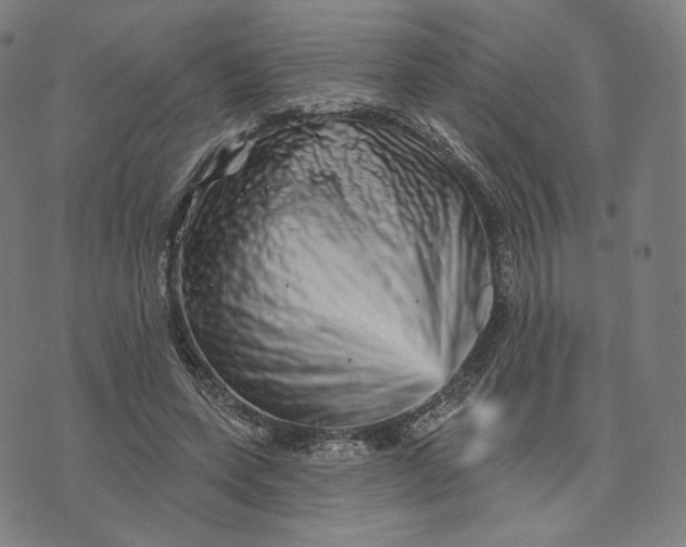 X0000074220543200609151624