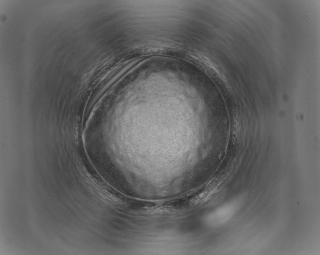 X0000074220545200609151624