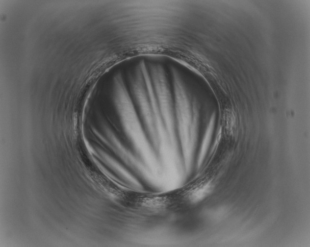 X0000074220550200609151624