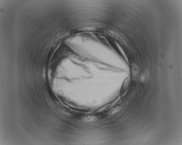 X0000074220551200609151624