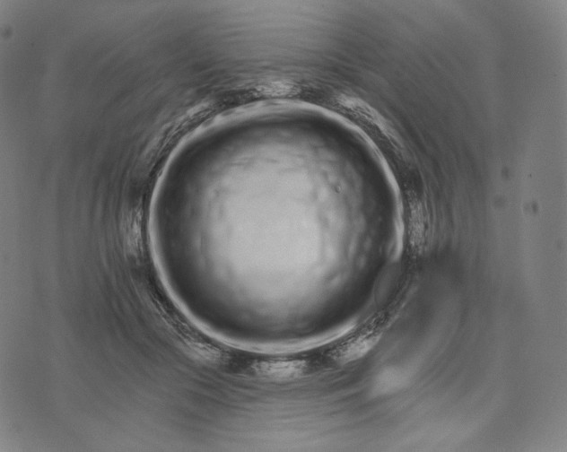 X0000074220553200609151624