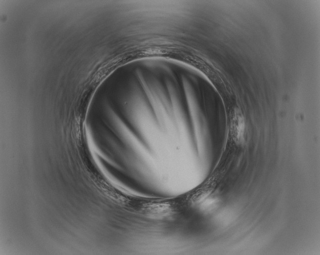 X0000074220554200609151624