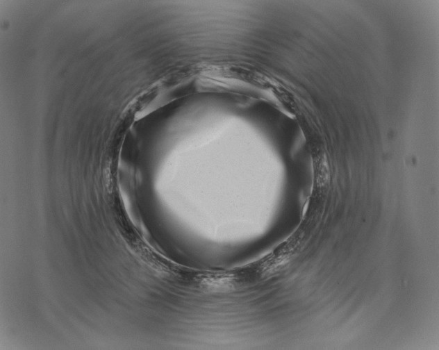 X0000074220560200609151624