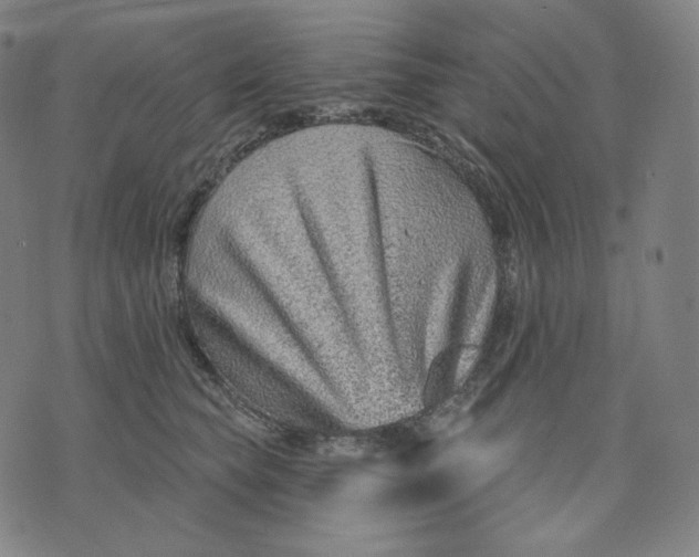 X0000074220565200609151624