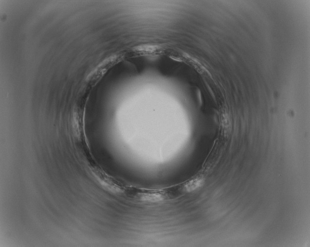 X0000074220572200609151624
