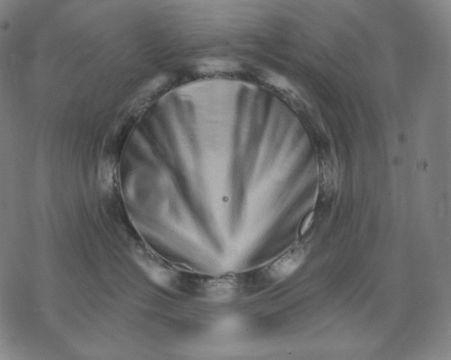X0000074220574200609151624