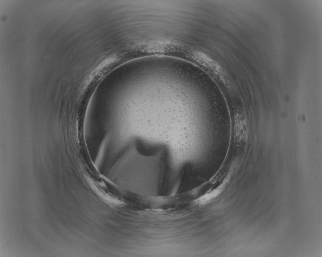 X0000074220589200609151623