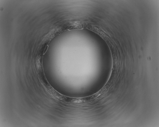 X0000074220611200609151623