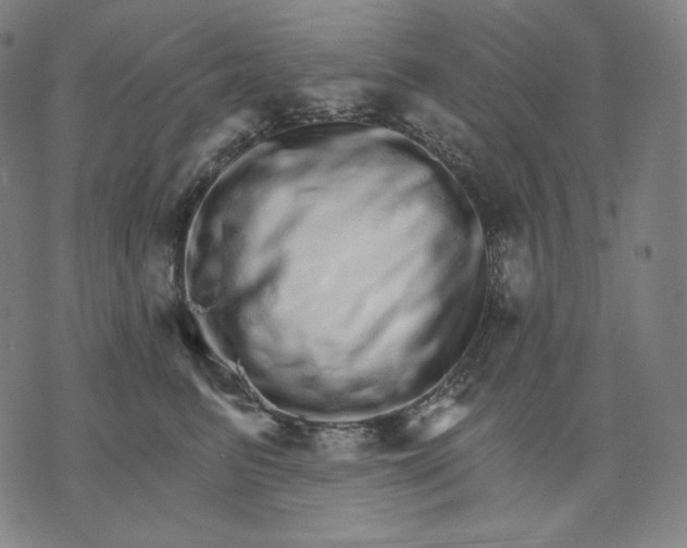 X0000074220615200609151623
