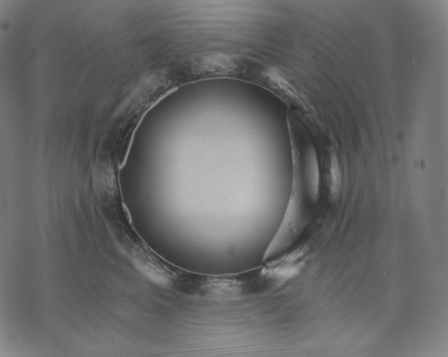 X0000074220617200609151623
