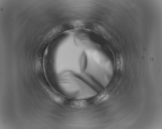X0000074220618200609151623