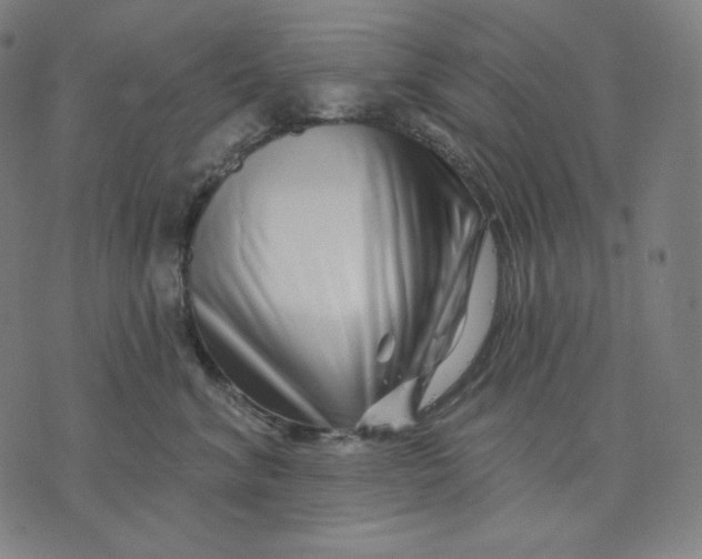 X0000074220620200609151623