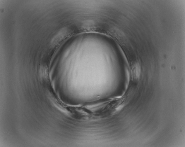 X0000074220623200609151623
