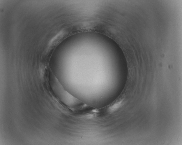 X0000074220624200609151623