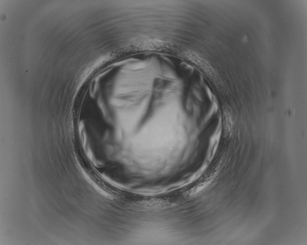 X0000074220630200609151622