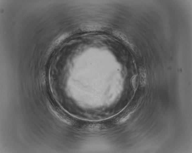X0000074220631200609151622